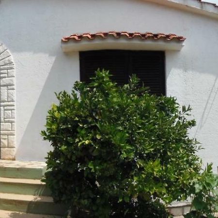 Sunflower Apartment Opatija Oda fotoğraf